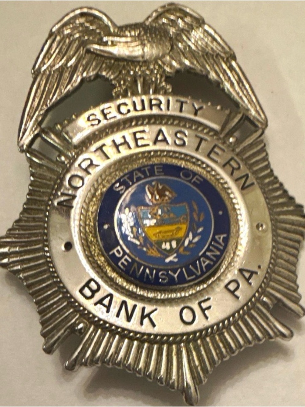 Silver and Blue Security Badge Wall Art